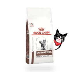 royal caningastro