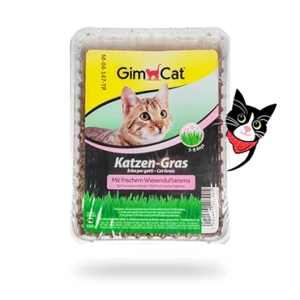 علف و گیاه خوراکی خوراکی گربه جیم کت