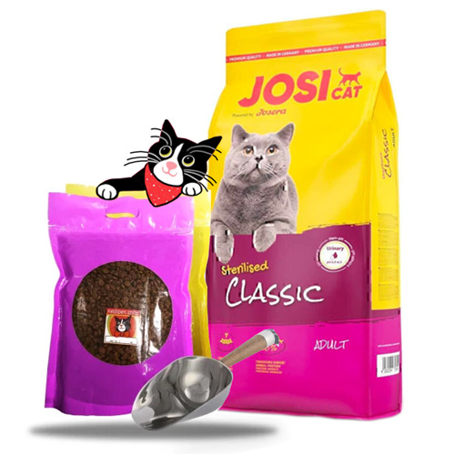جوسی-کت