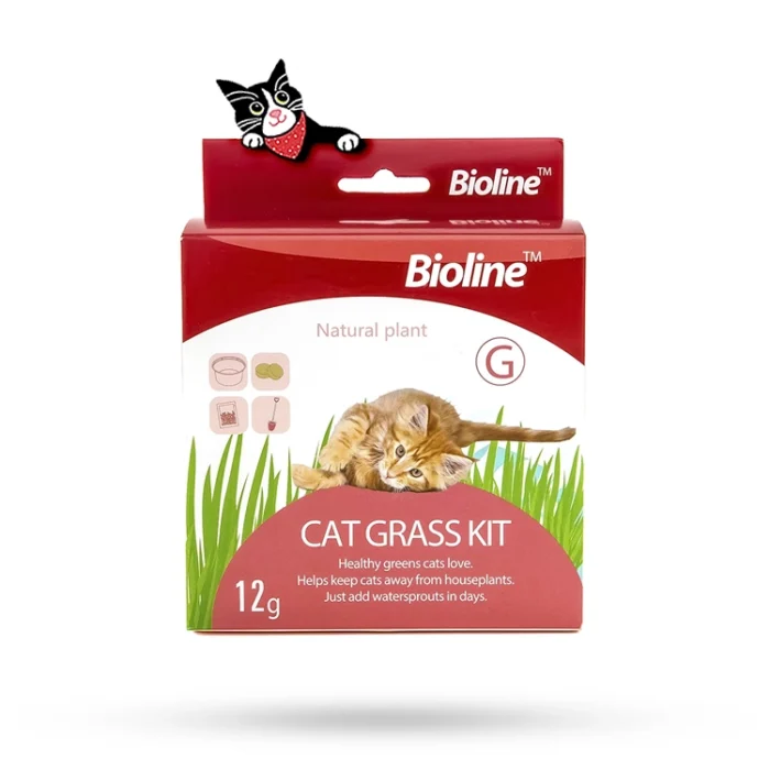 کیت علف گربه بیولاین – Bioline Cat Grass Kit